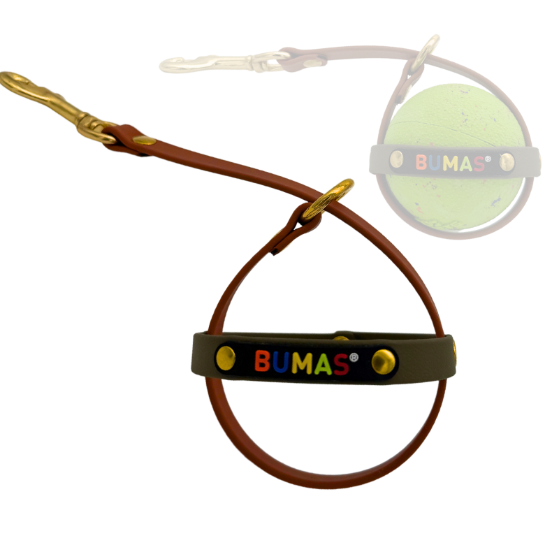 Ballhalter Biothane 1_png