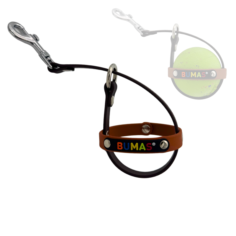 Ballhalter Biothane 7_png