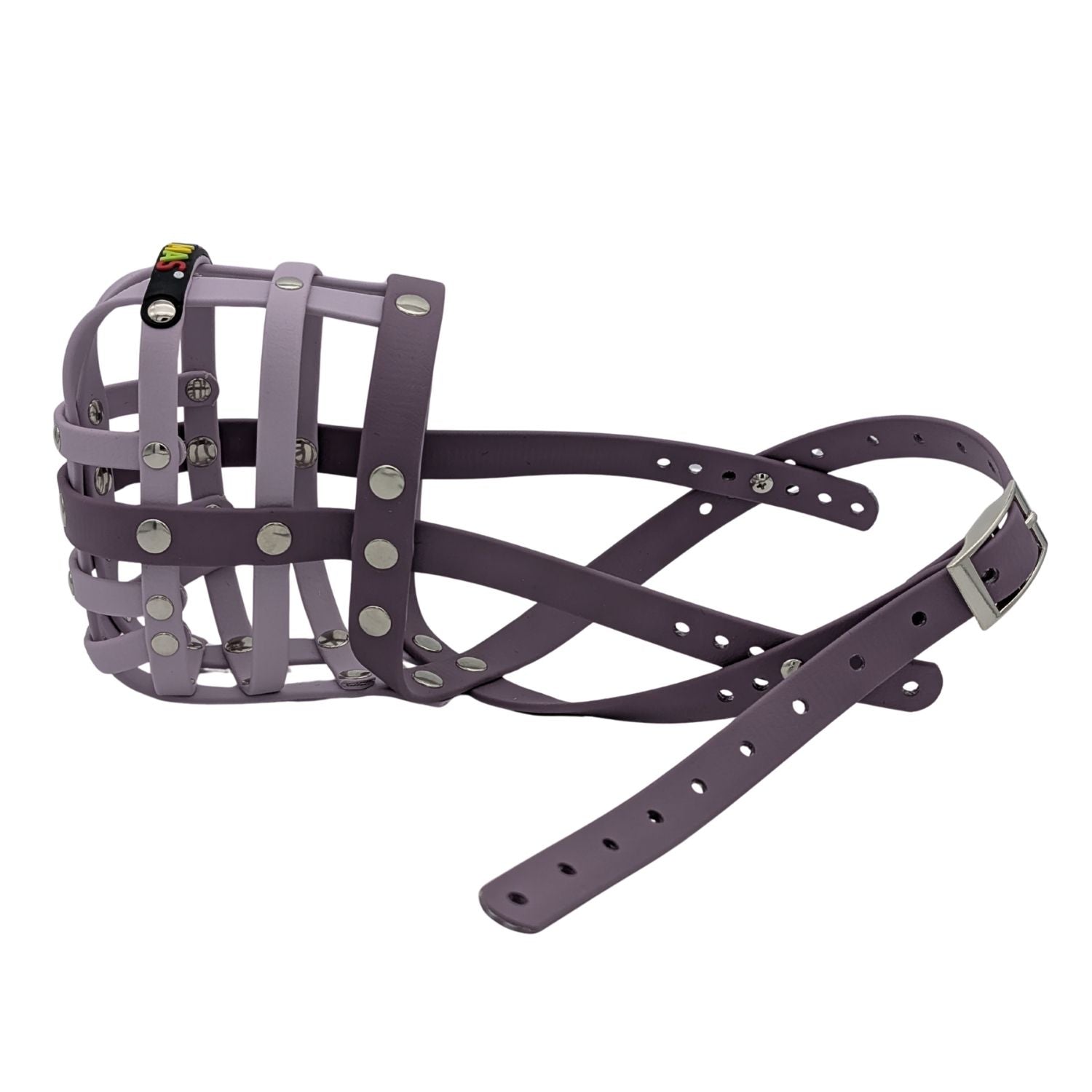 BUMAS Biothane Muzzle for Border Collies