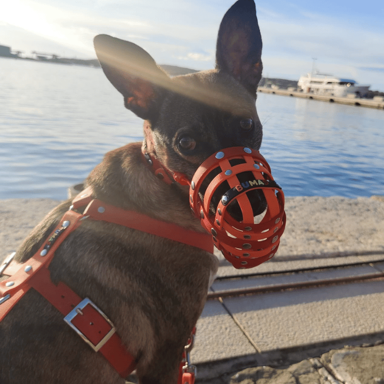 BUMAS Biothane® Brustgeschirr Elements