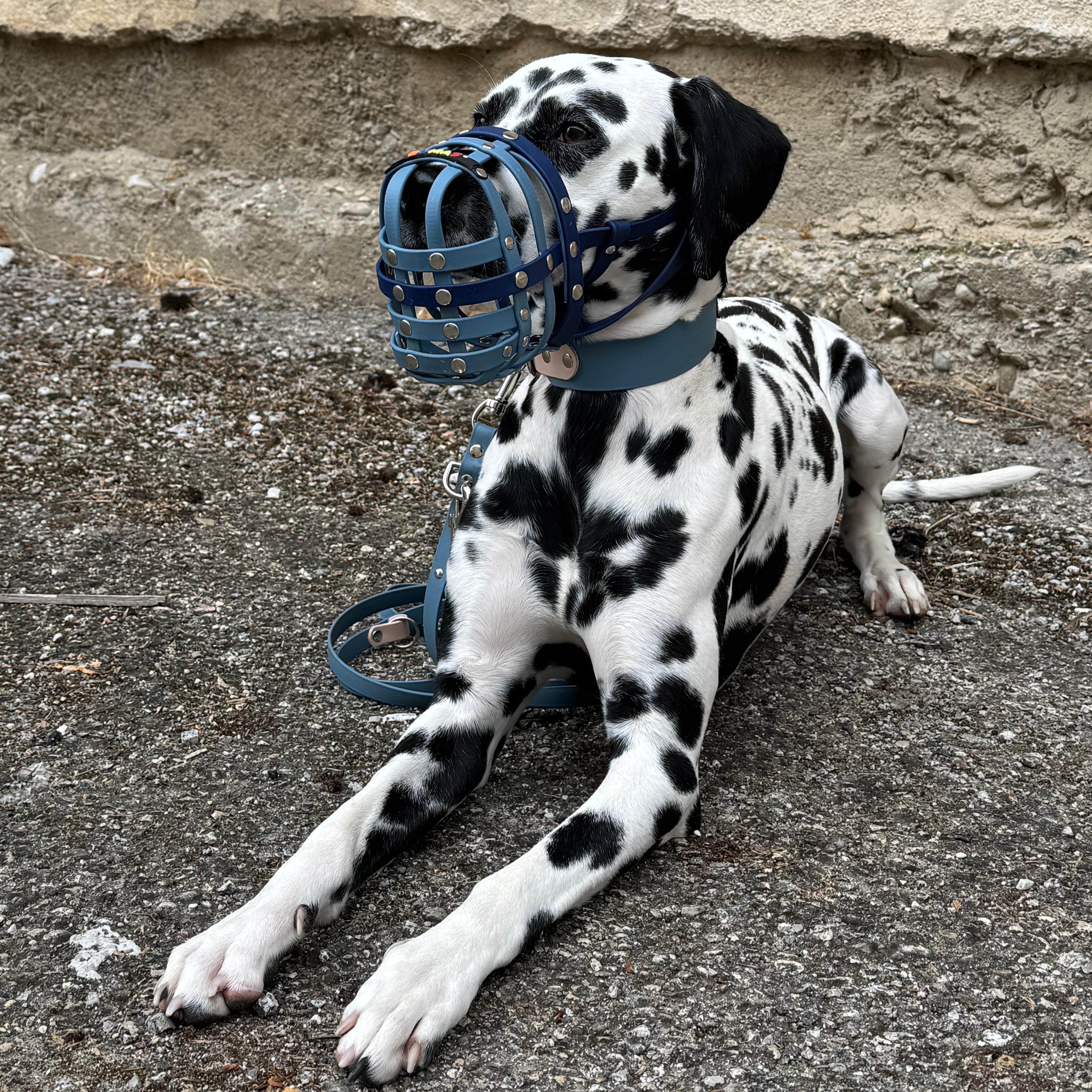 BUMAS Biothane® Maulkorb nach Maß