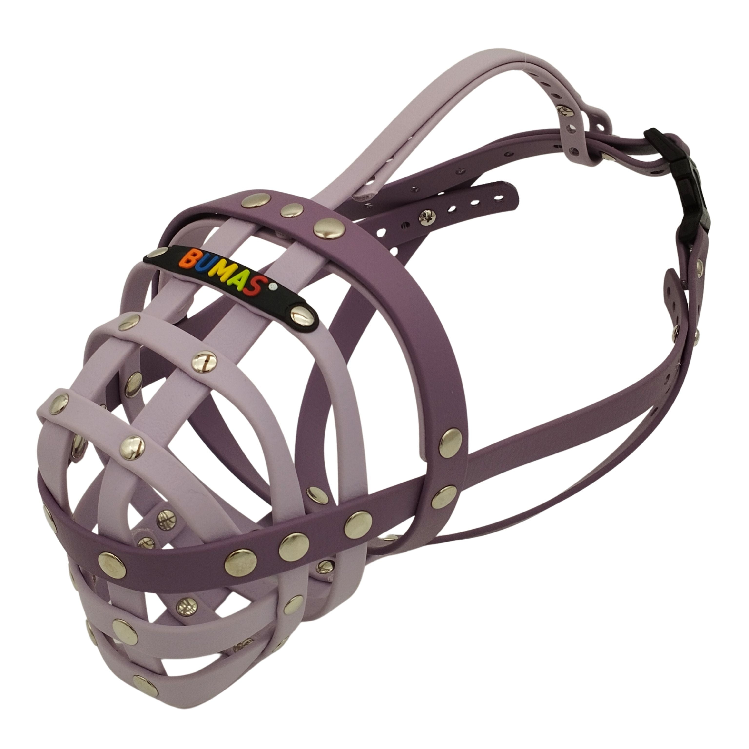 Muselière BUMAS Biothane pour Bull Terriers à museau rabattu