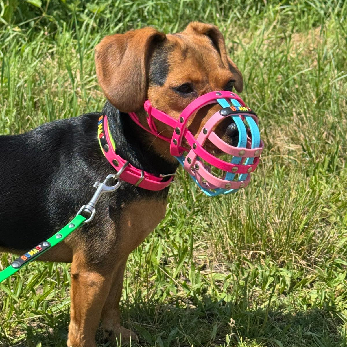 BUMAS Biothane® Maulkorb nach Maß