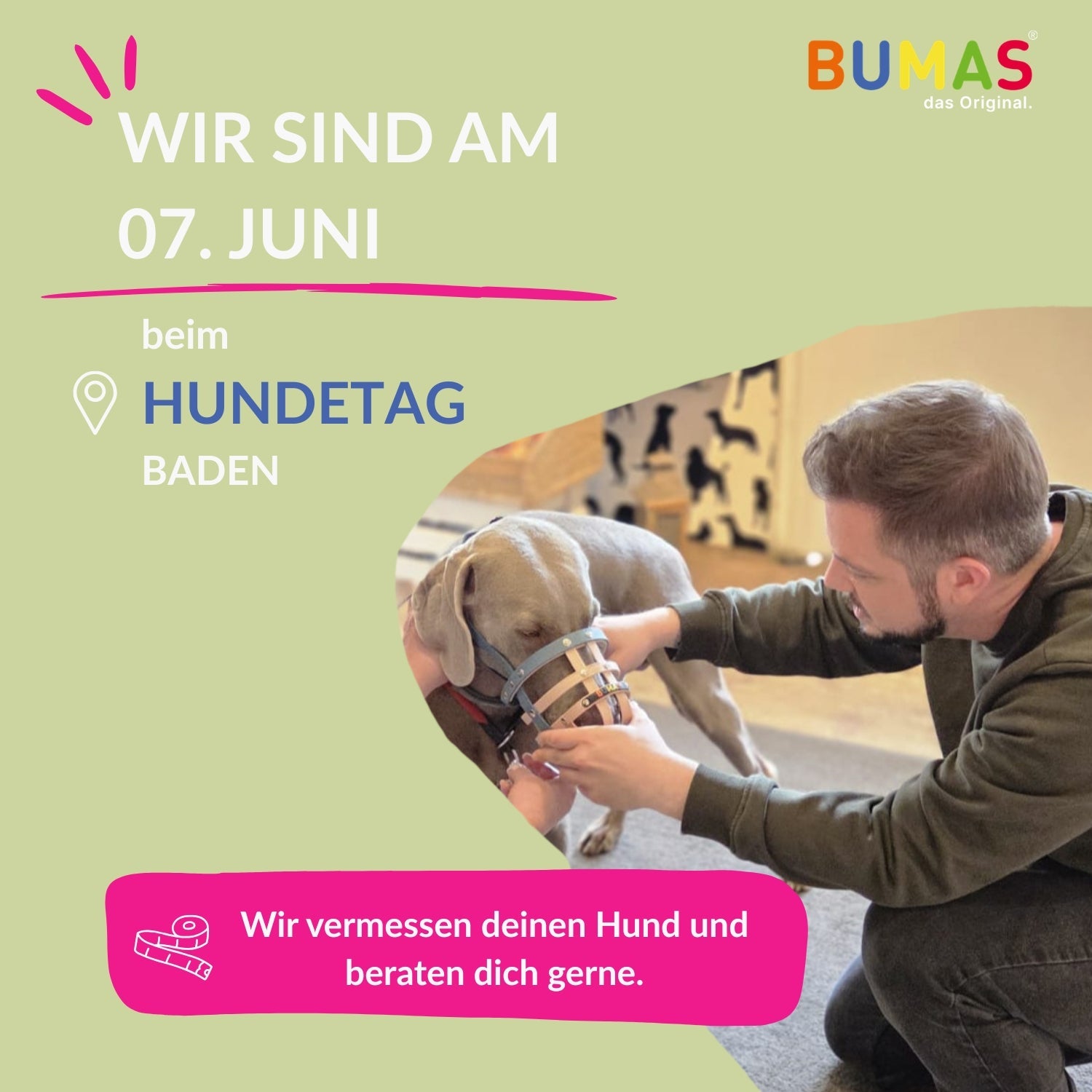 BUMAS am Hundetag Baden – komm vorbei und lass deinen Hund perfekt vermessen!