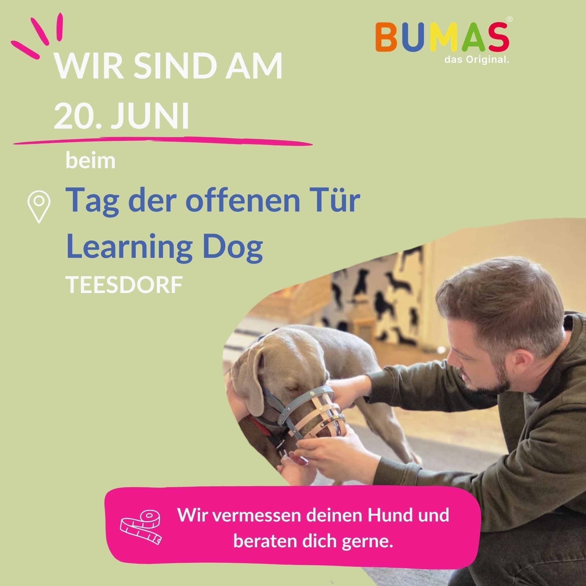 BUMAS bei Learning Dogs