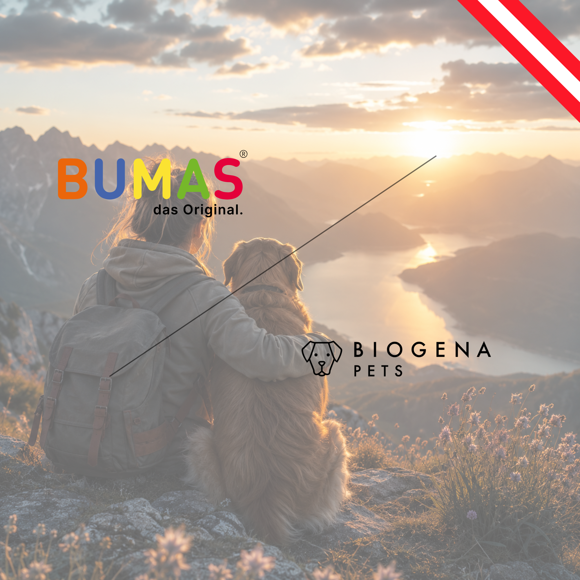Mit Hund auf Reisen: So wird der Urlaub für euch beide entspannt