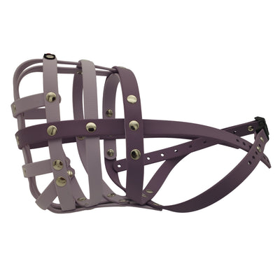 BUMAS Biothane Muzzle for Rhodesian Ridgeback