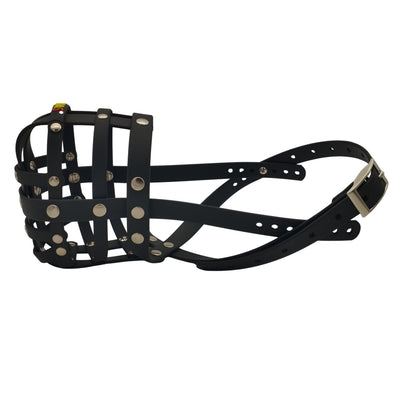 BUMAS Biothane Muzzle for Australian Shepherds