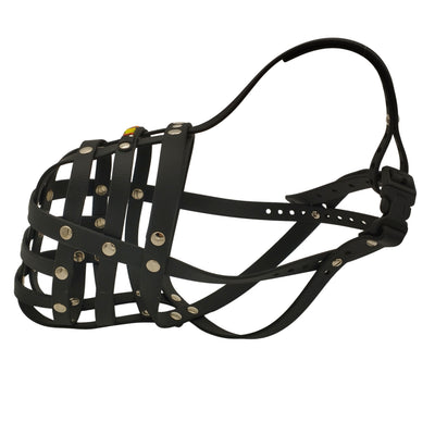 BUMAS Biothane Muzzle for Bull Terriers