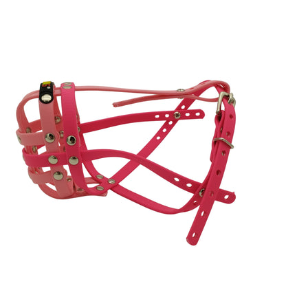 BUMAS Biothane Muzzle for Cavalier King Charles Spaniels