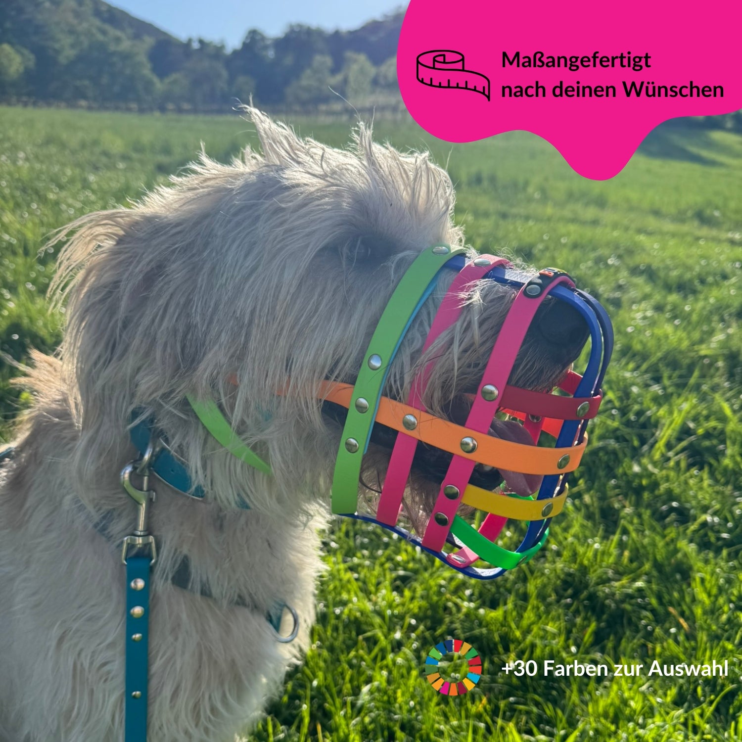 BUMAS Biothane® Maulkorb nach Maß - PRIDE Edition