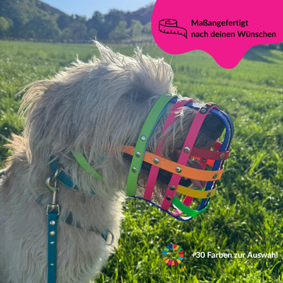 BUMAS Biothane® Maulkorb nach Maß - PRIDE Edition