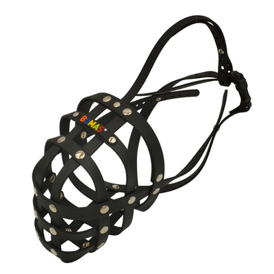 BUMAS Biothane Muzzle for Bull Terriers