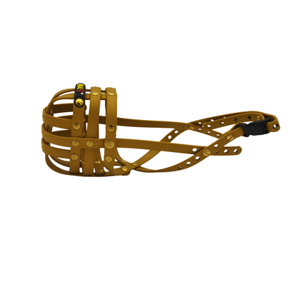 BUMAS Maulkorb gold-gold-gold