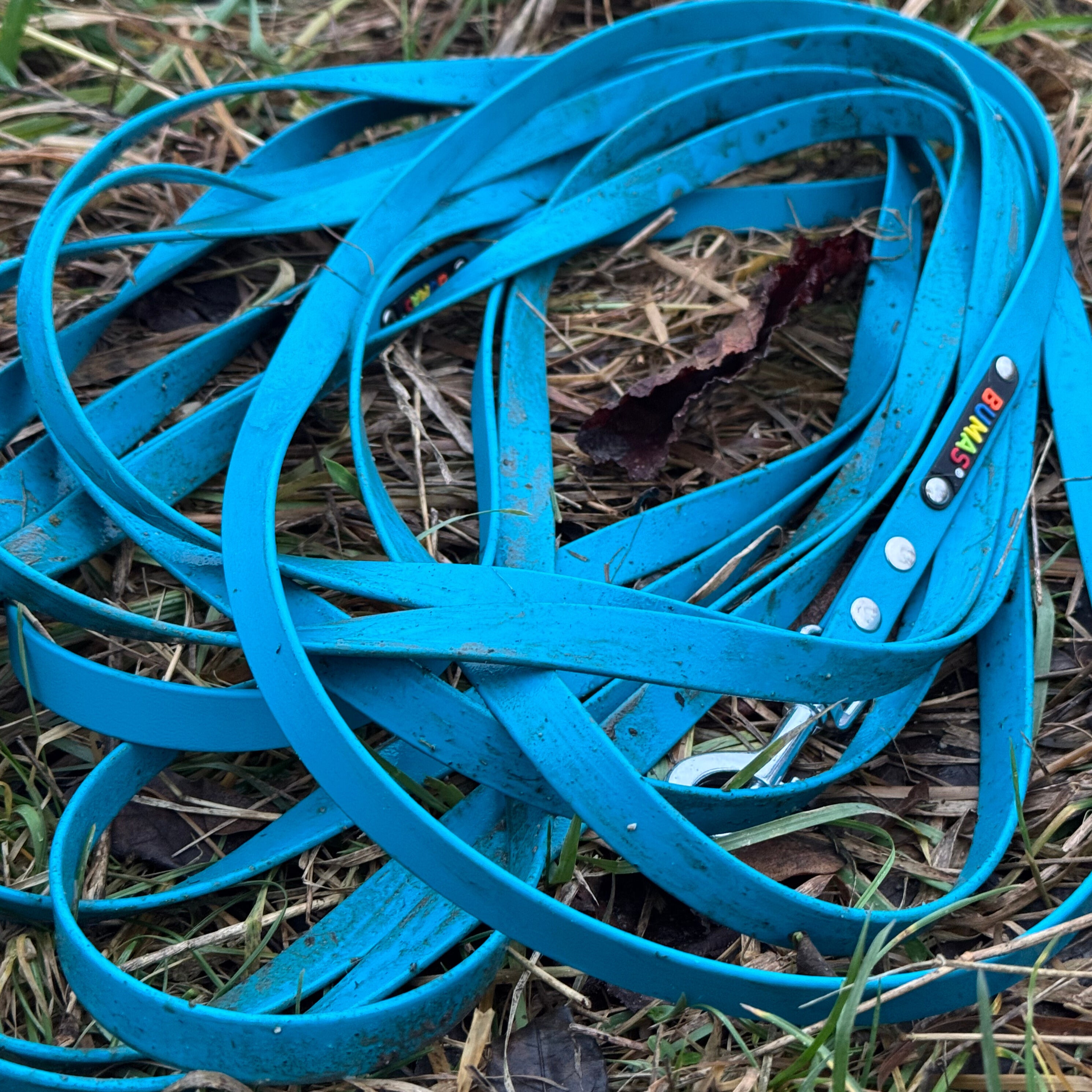 BUMAS Biothane® custom-made tracking leash