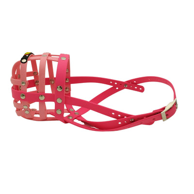 BUMAS Biothane Muzzle for Australian Shepherds