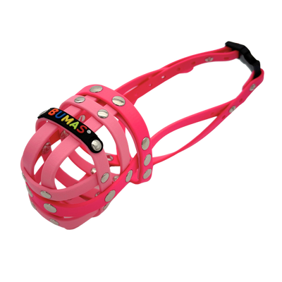 BUMAS Biothane Maulkorb für Jack Russell Terrier