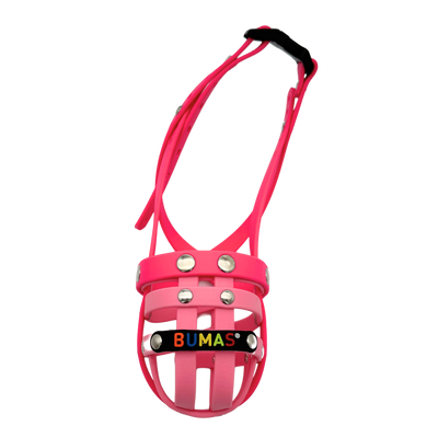 BUMAS Biothane Maulkorb für Jack Russell Terrier