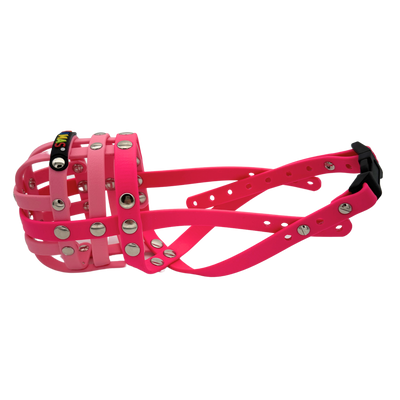 BUMAS Biothane Maulkorb für Jack Russell Terrier