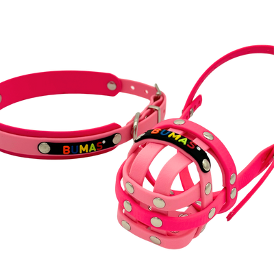 BUMAS Biothane Maulkorb für Jack Russell Terrier