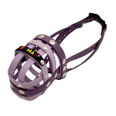 BUMAS Biothane Maulkorb für Jack Russell Terrier