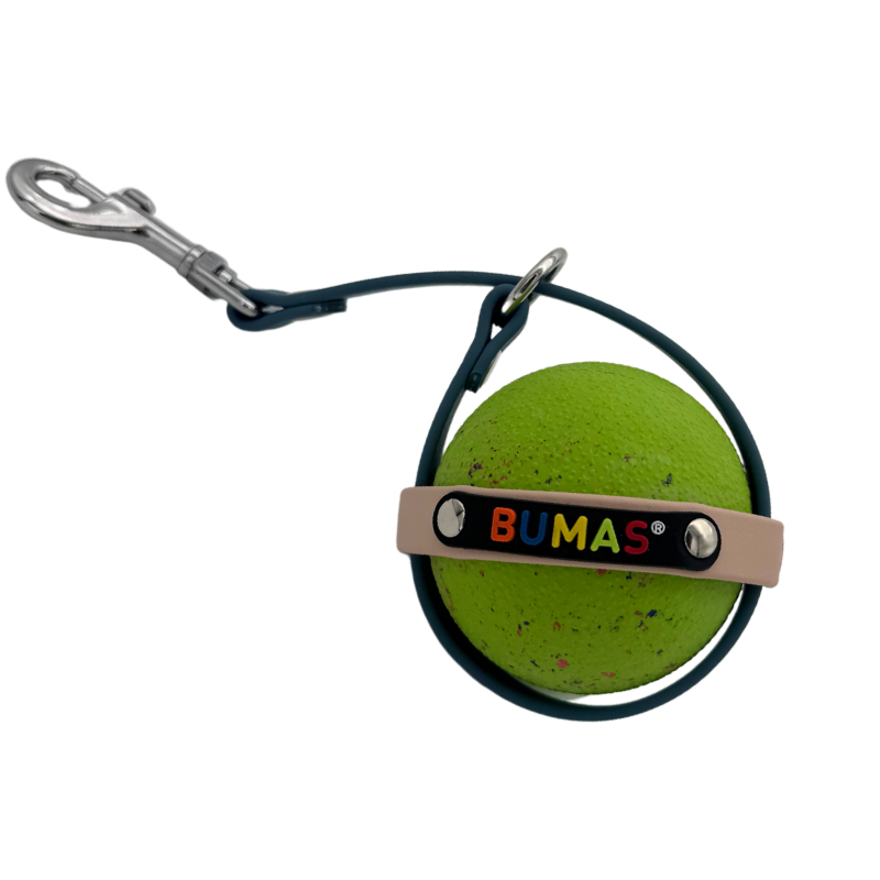 Ballhalter Biothane 10_png