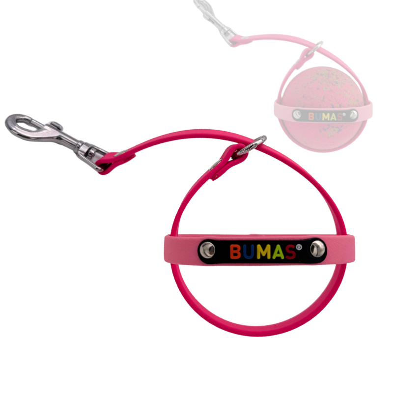 Ballhalter Biothane 11_png