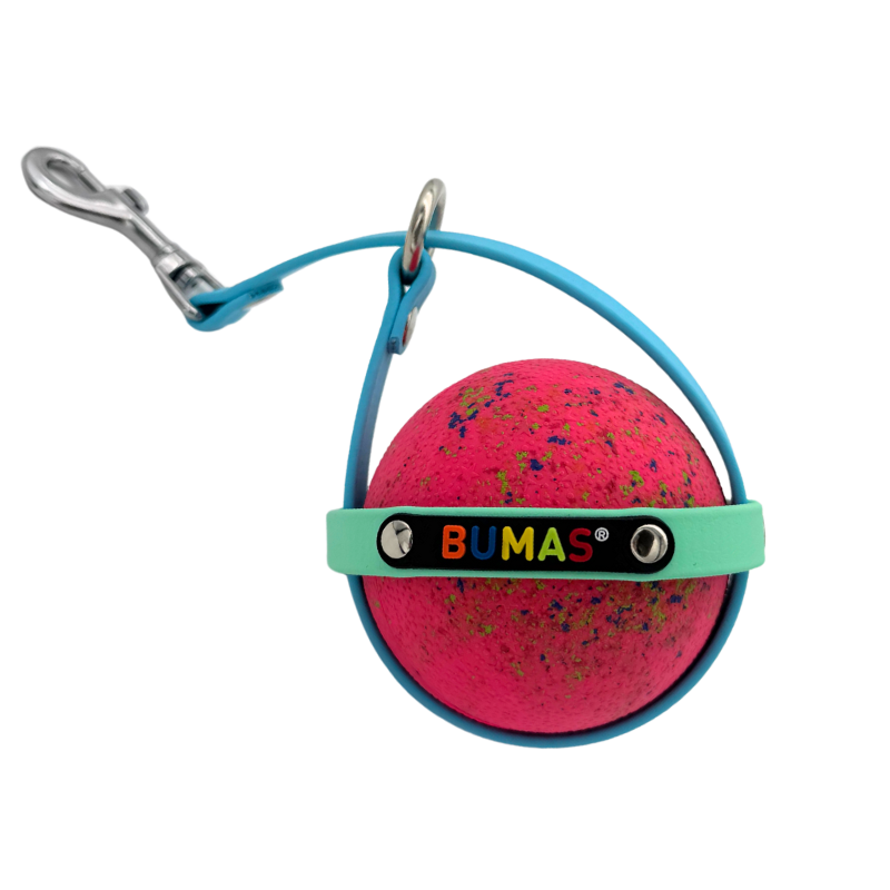 Ballhalter Biothane 14_png