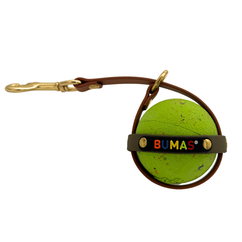 Ballhalter Biothane 2_png