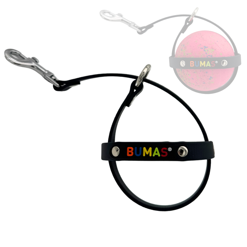 Ballhalter Biothane 3_png