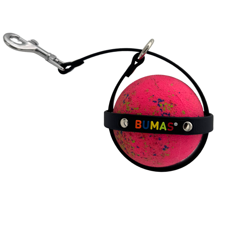 Ballhalter Biothane 4_png