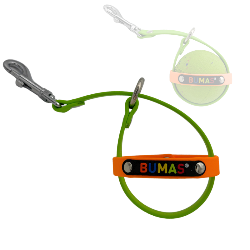 Ballhalter Biothane 5_png