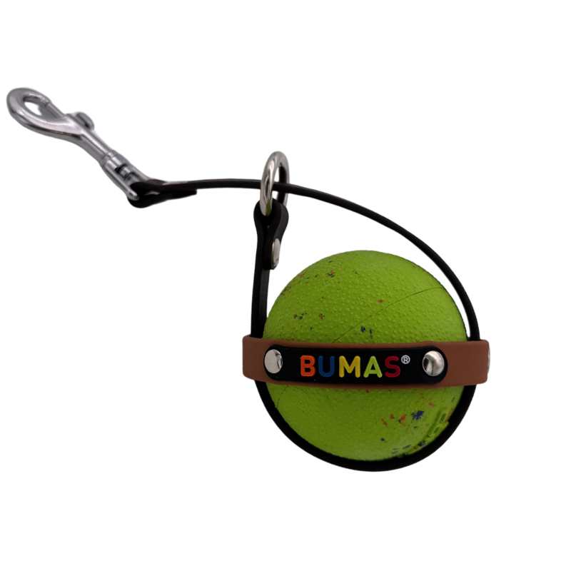 Ballhalter Biothane 8_png