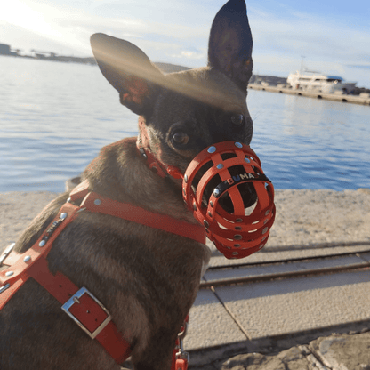 BUMAS Biothane® Brustgeschirr Elements