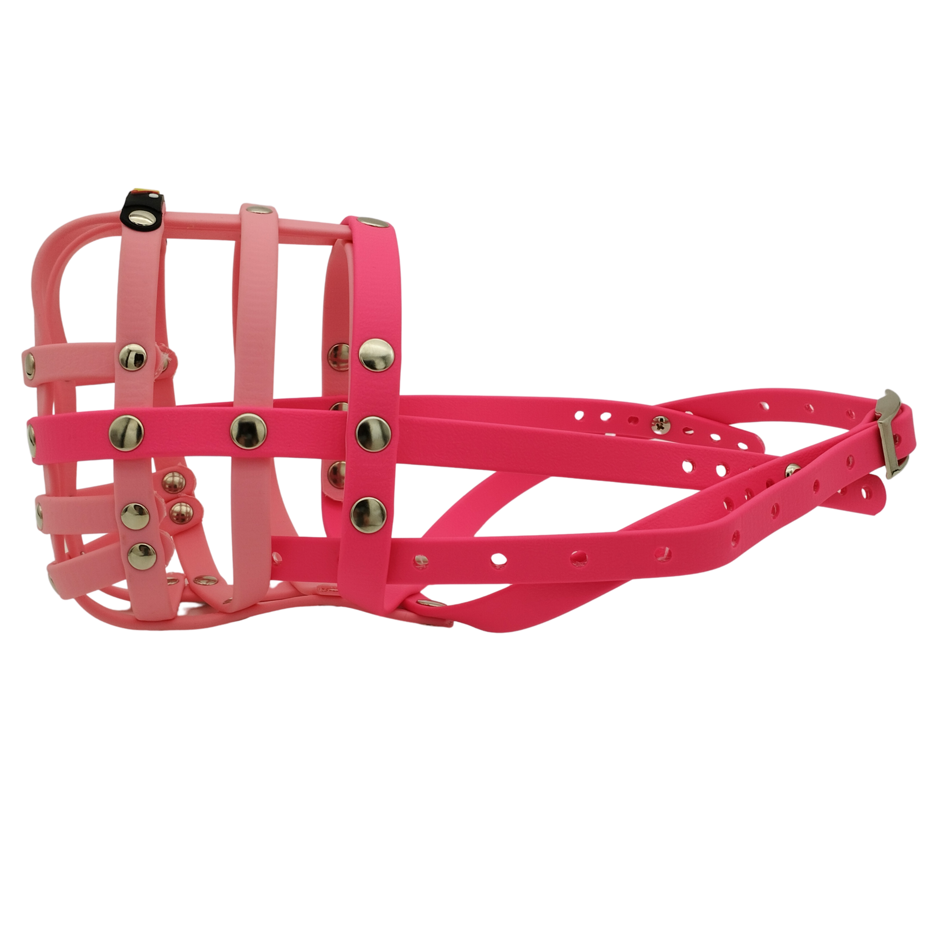 BUMAS Biothane Muzzle for Cocker Spaniels