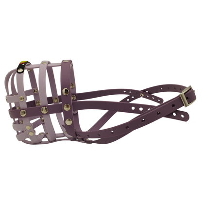 BUMAS Biothane Muzzle for Cocker Spaniels