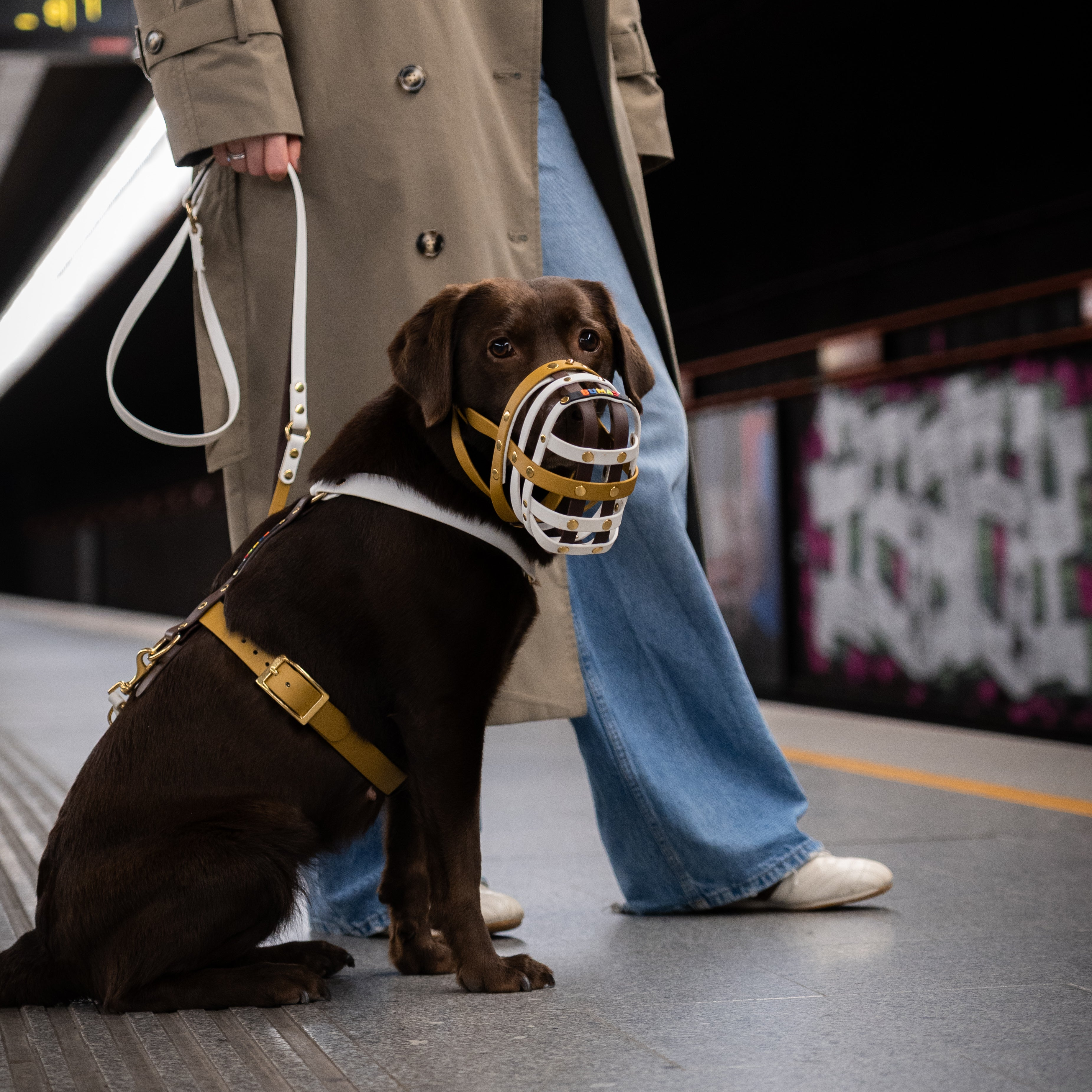 BUMAS Biothane® Brustgeschirr Elements