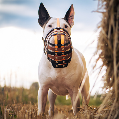 BUMAS Biothane® Maulkorb nach Maß