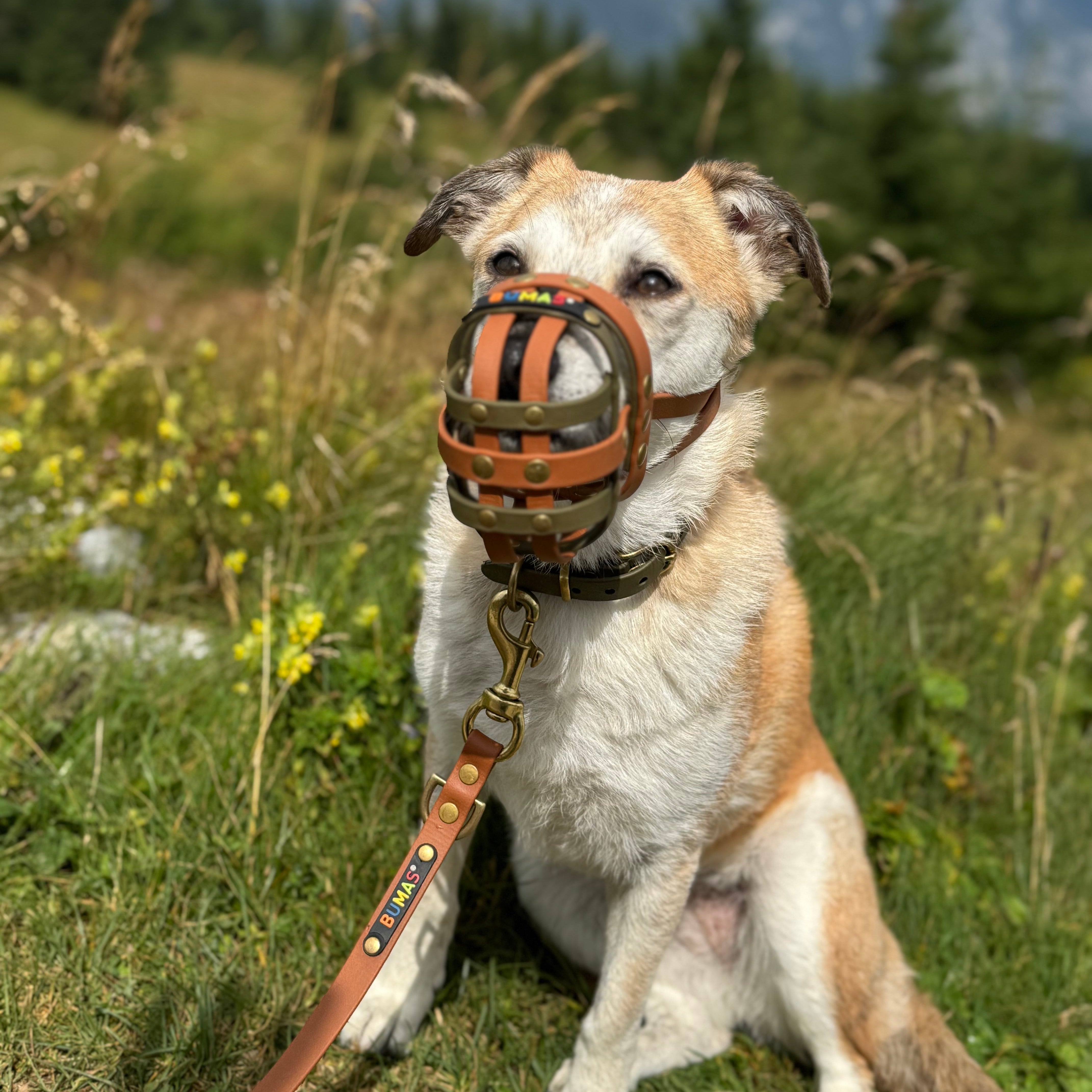 BUMAS Biothane® Maulkorb nach Maß