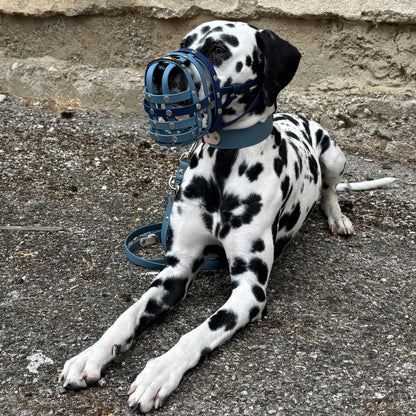 BUMAS Biothane® Maulkorb nach Maß