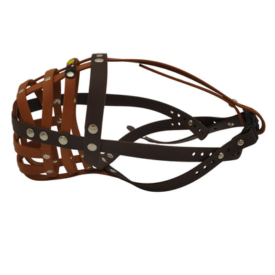 BUMAS Biothane Muzzle for Bull Terriers