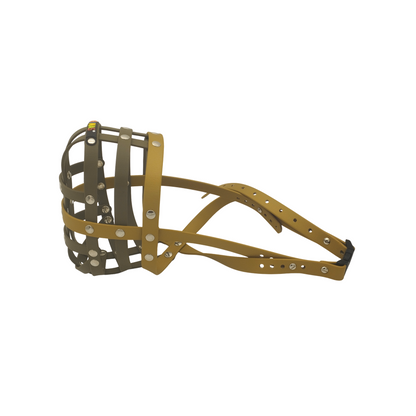 BUMAS gold-olivgrün-olivgrün