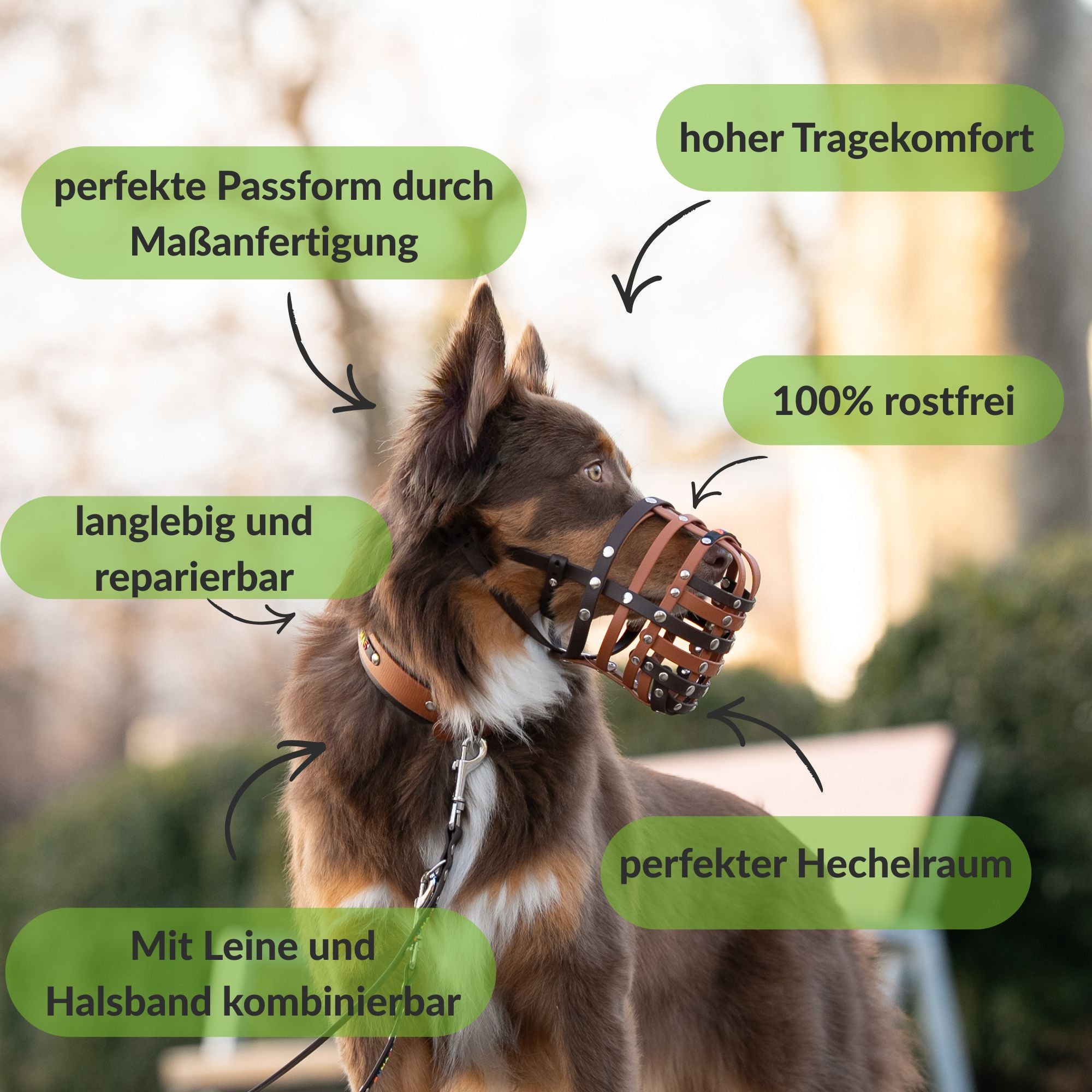 BUMAS Biothane® Maulkorb nach Maß