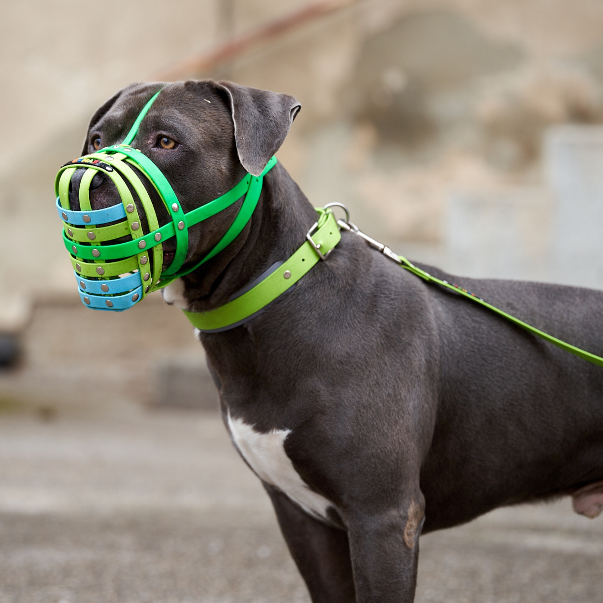 BUMAS Biothane® Collar Elements BUMAS Biothane® Collar Elements