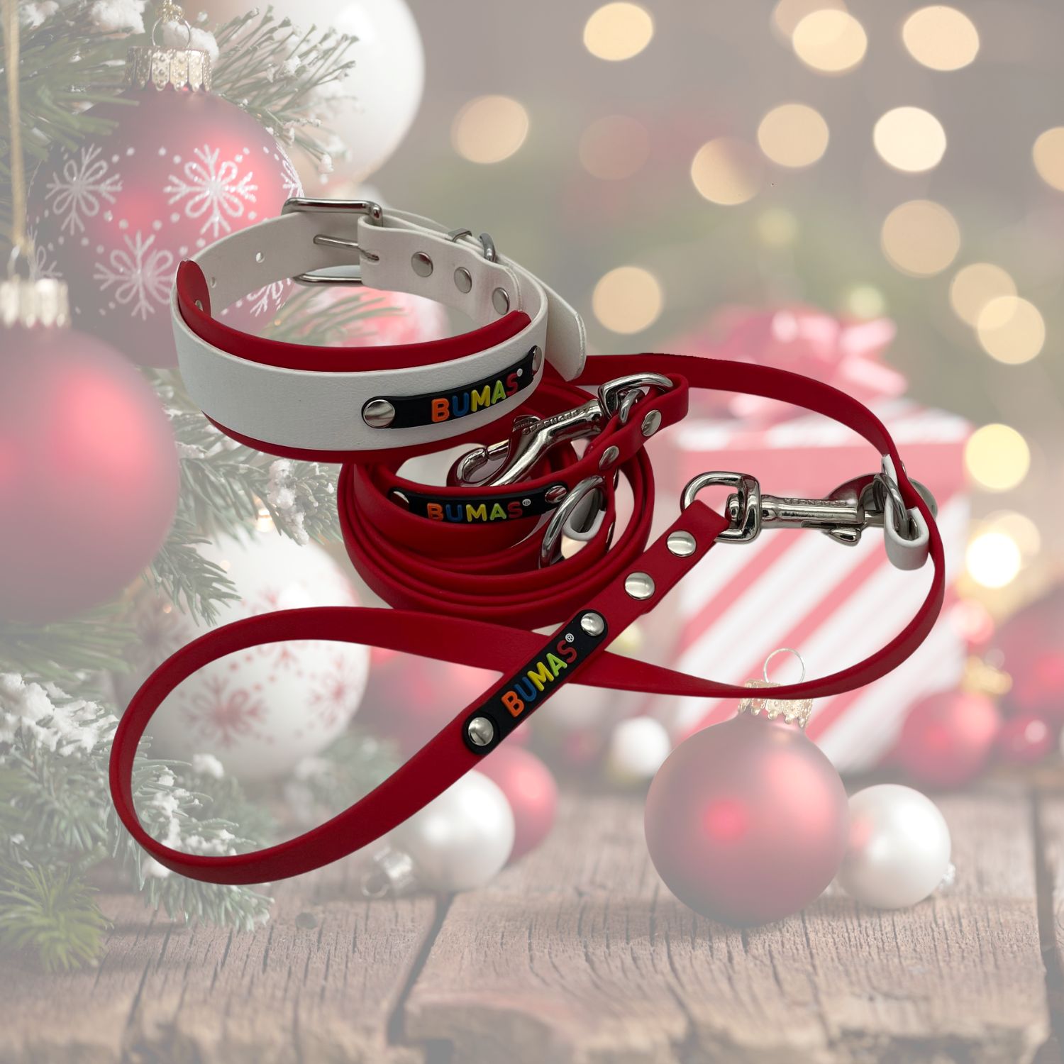 BUMAS Weihnachtsset Leine+Halsband aus Biothane