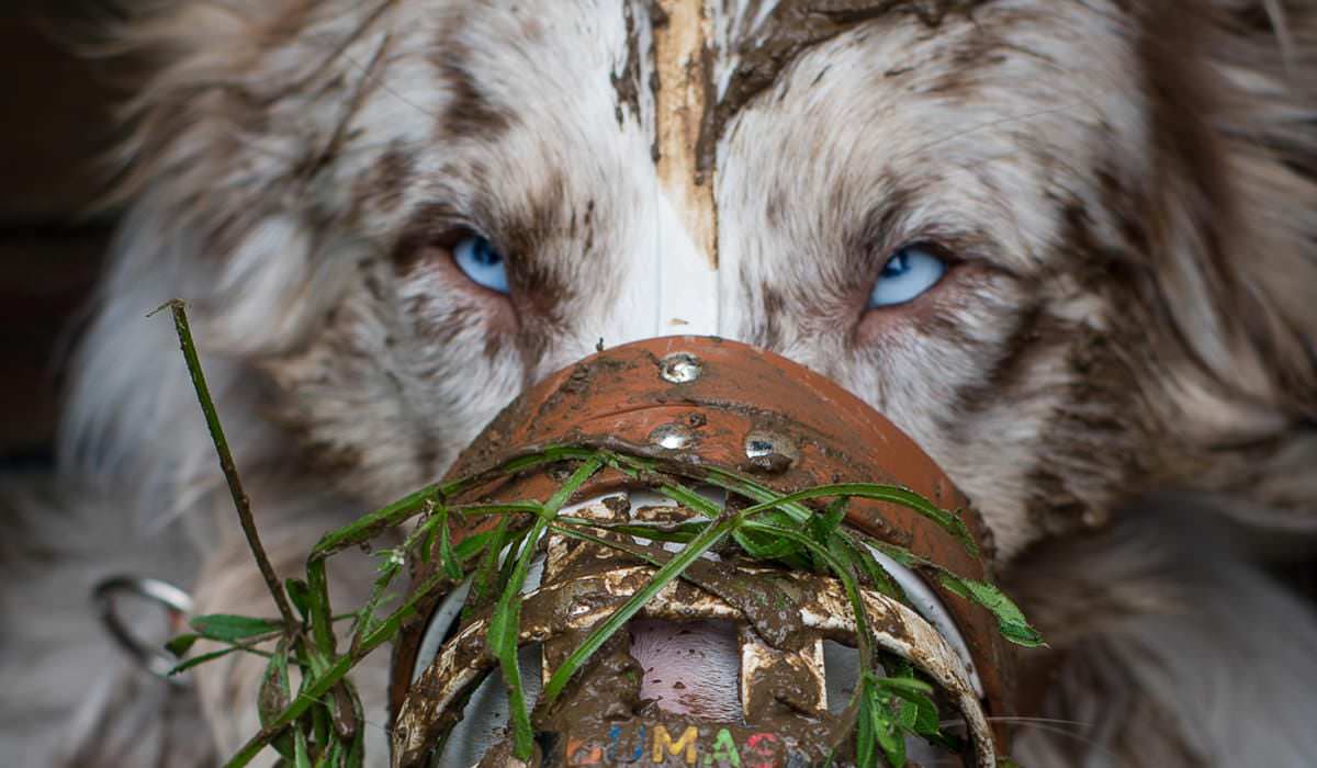 bumas-reinigen bumas-reinigen