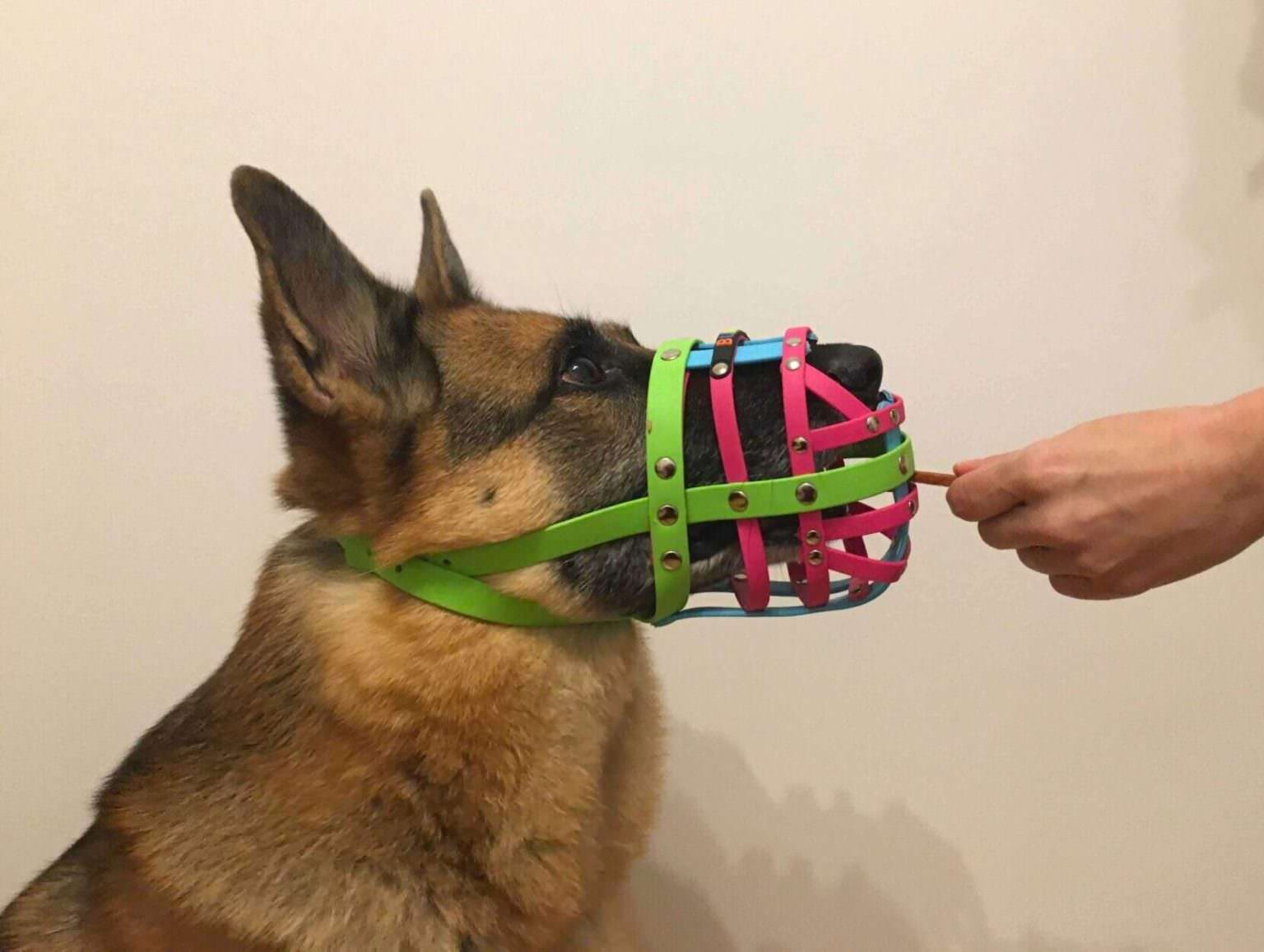 bumas muzzle cost bumas muzzle cost