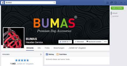 Die BUMAS Facebook Seite startet